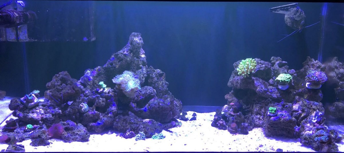 tank december 2017_after Hurricanes Irma and Maria.JPG