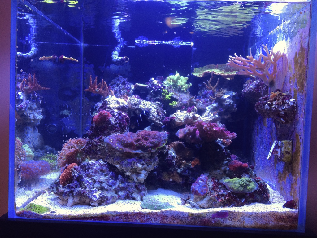Tank Front Side.jpg