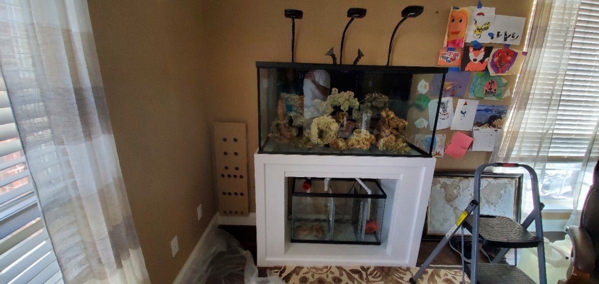 Tank Inside With Sump.jpg