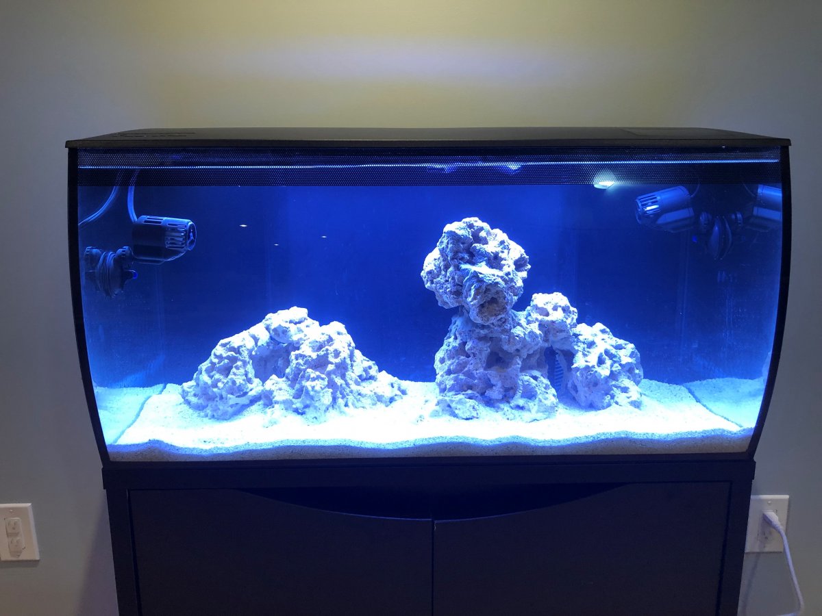Fluval flex on sale saltwater