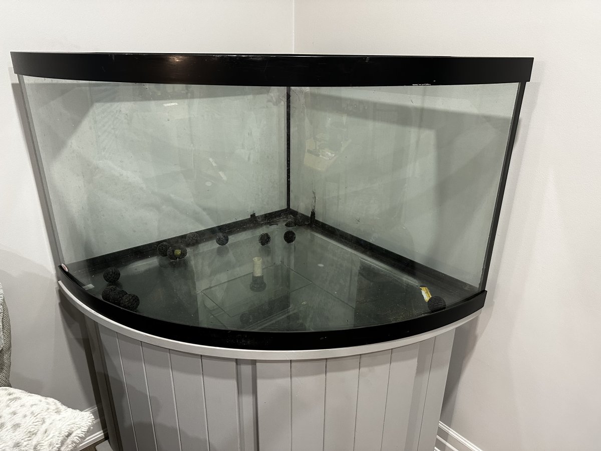 54 gallon corner online tank