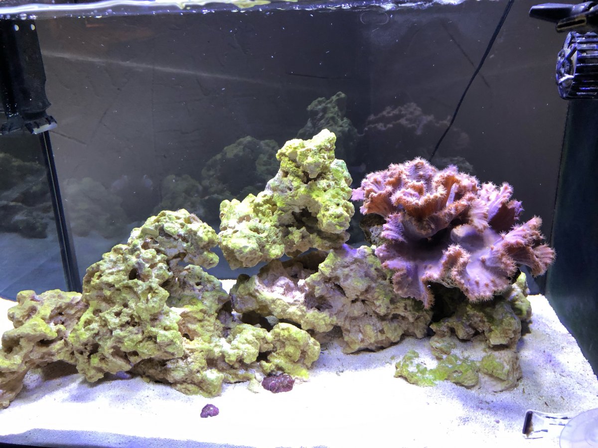 Tank pic 1-21-22.jpeg