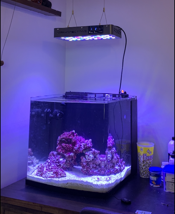 Biocube aquarium sales