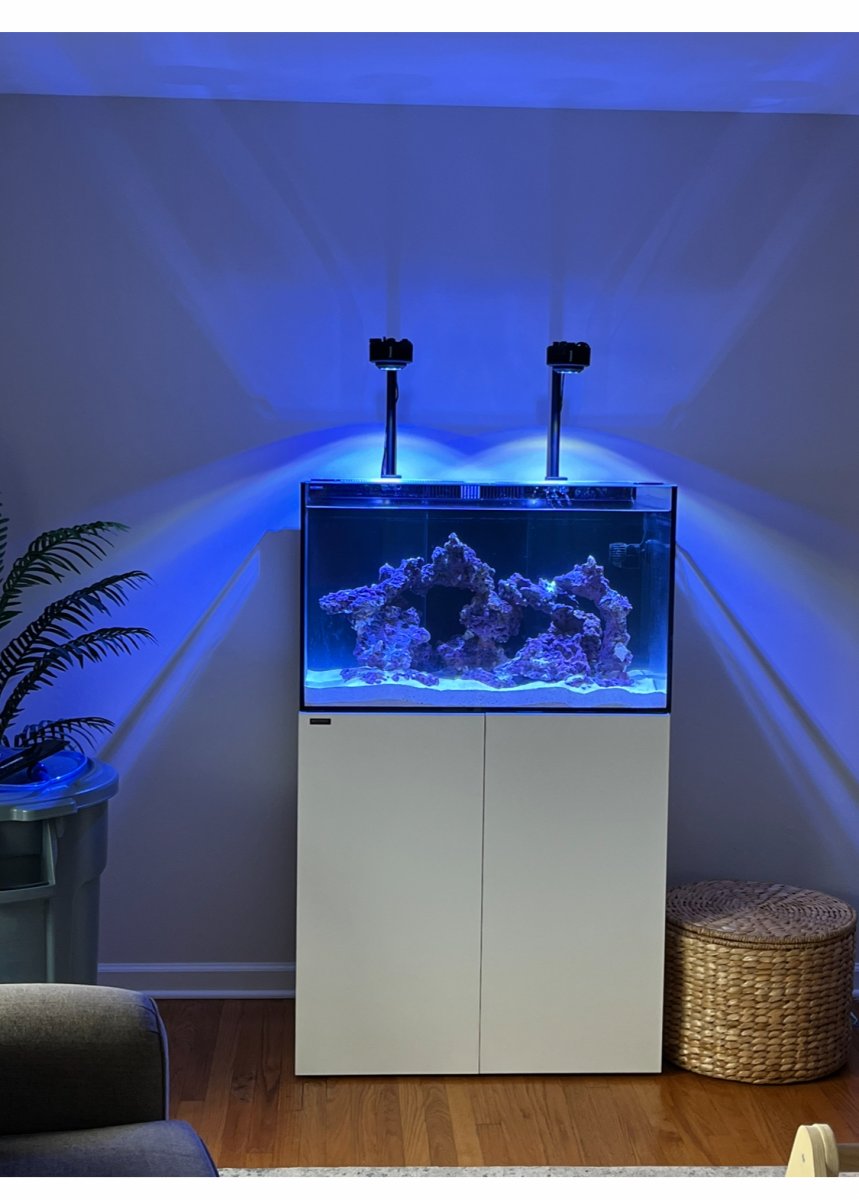 Build Thread - My first saltwater aquarium. WB Marine 90.3x | Reef2Reef
