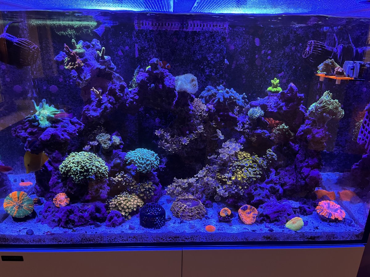 Tank view.jpeg