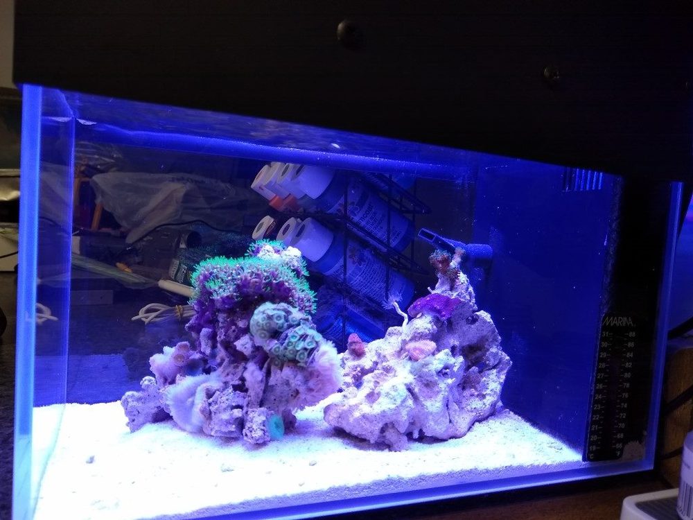 Tank01.jpg