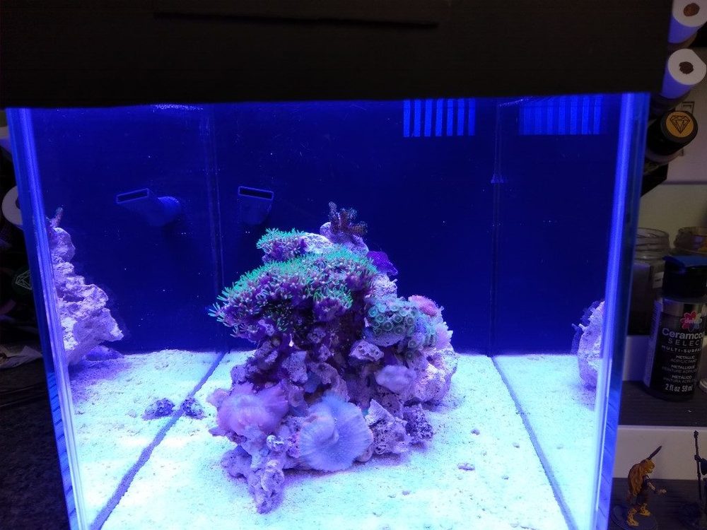 Tank02.jpg