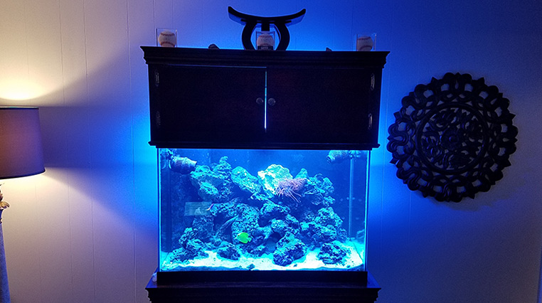 Tank1.jpg