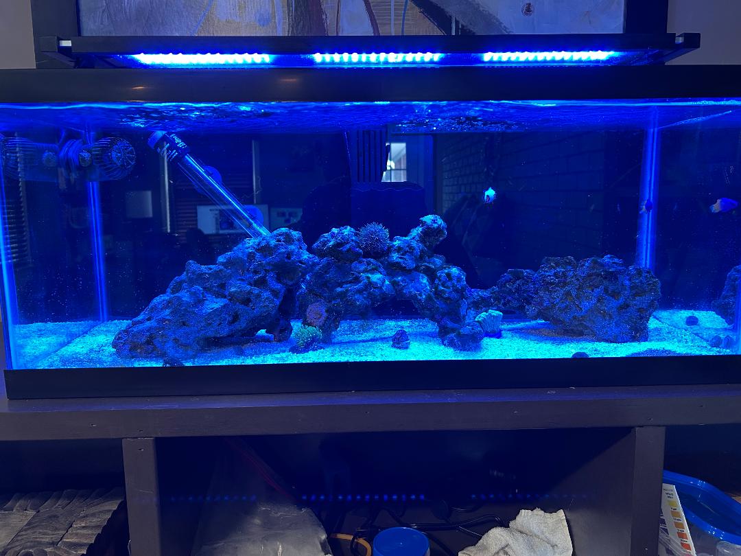 tank1.jpg
