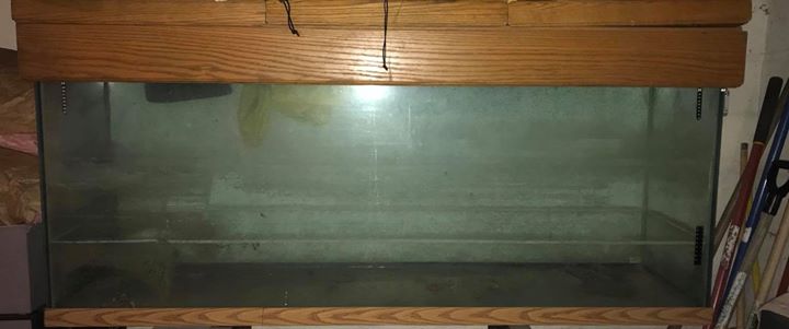 tank1.jpg