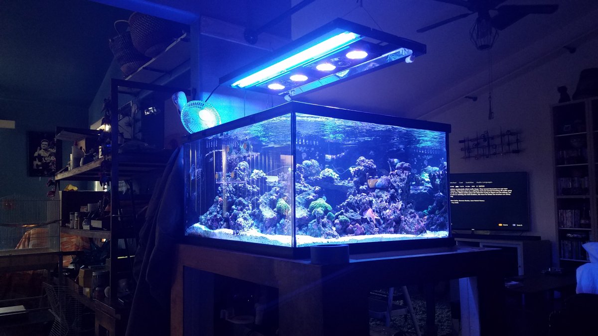 tank1.jpg