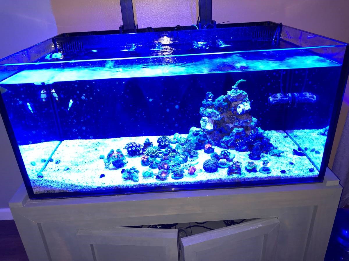 tank1.jpg