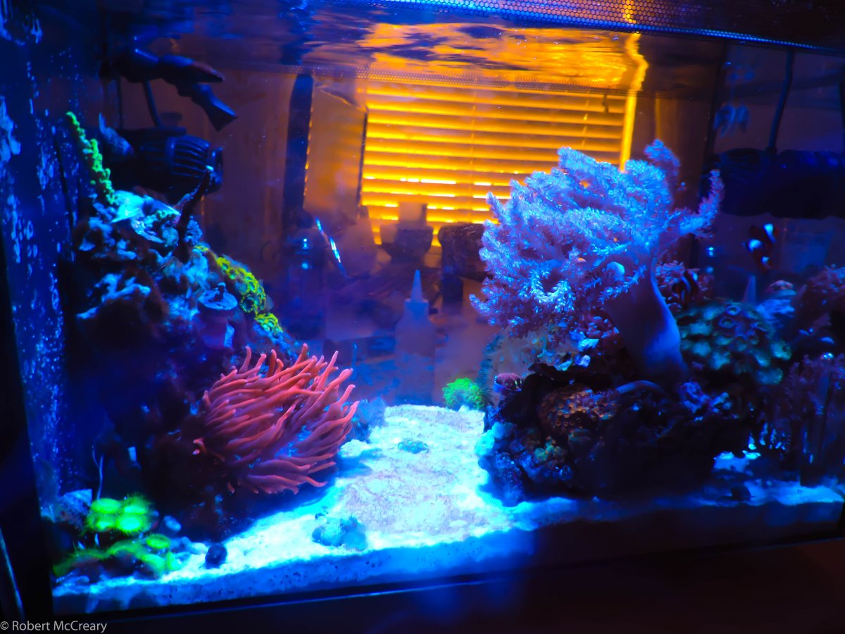 tank10.jpg