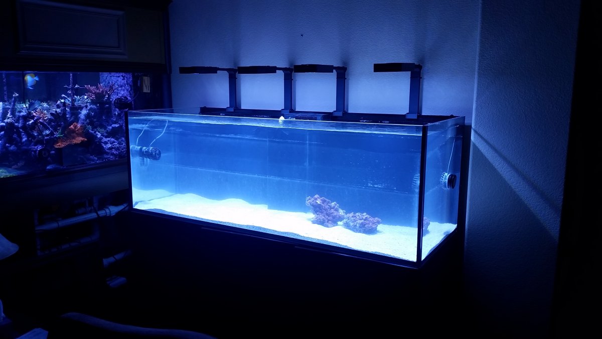 tank14.jpg