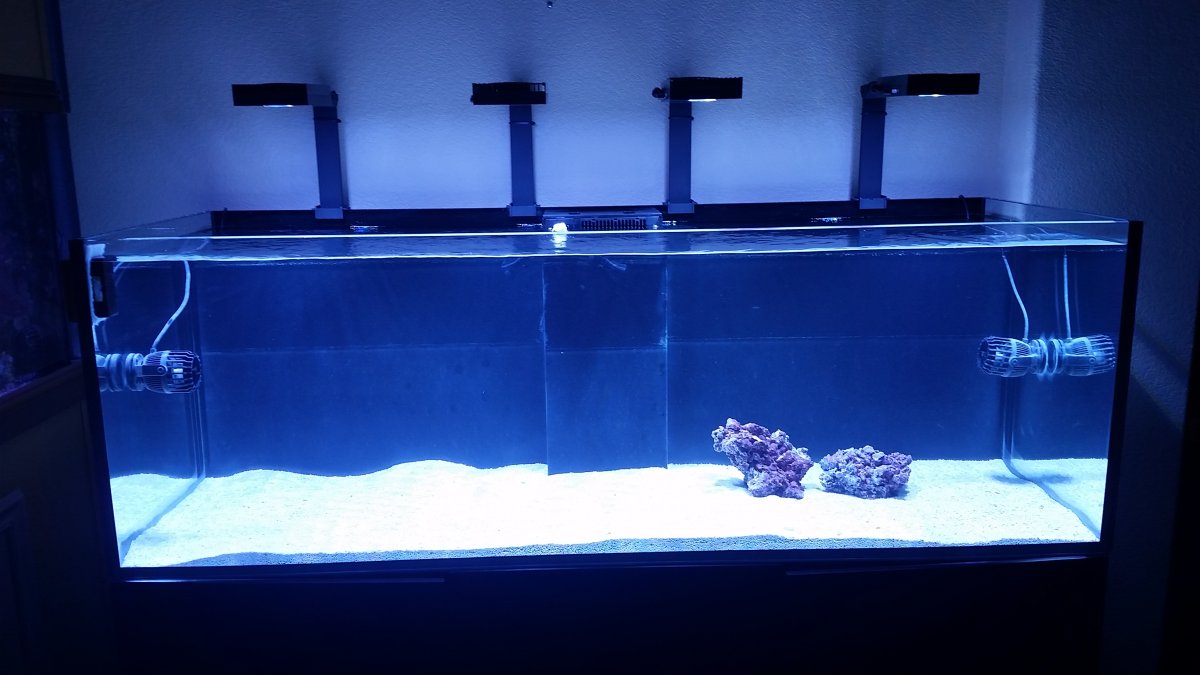 tank16.jpg