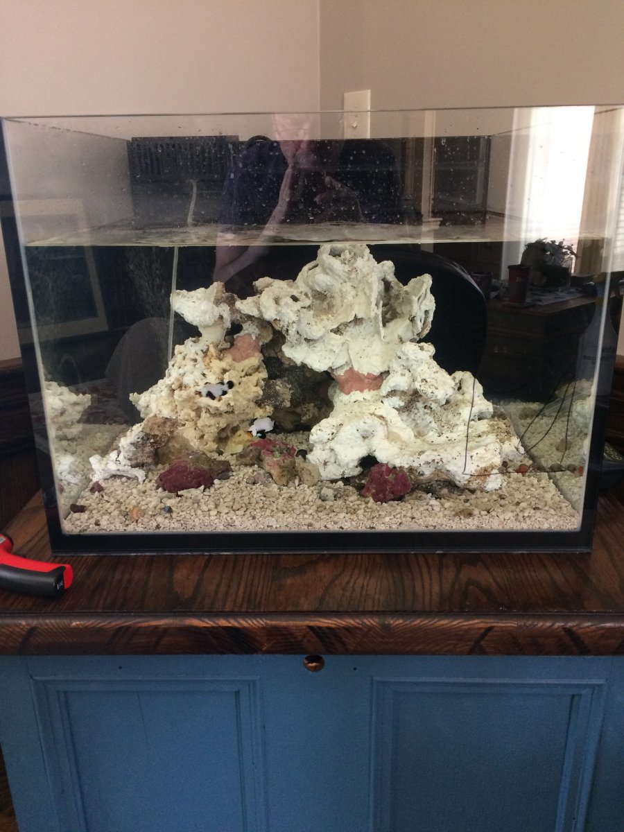 tank2.jpeg