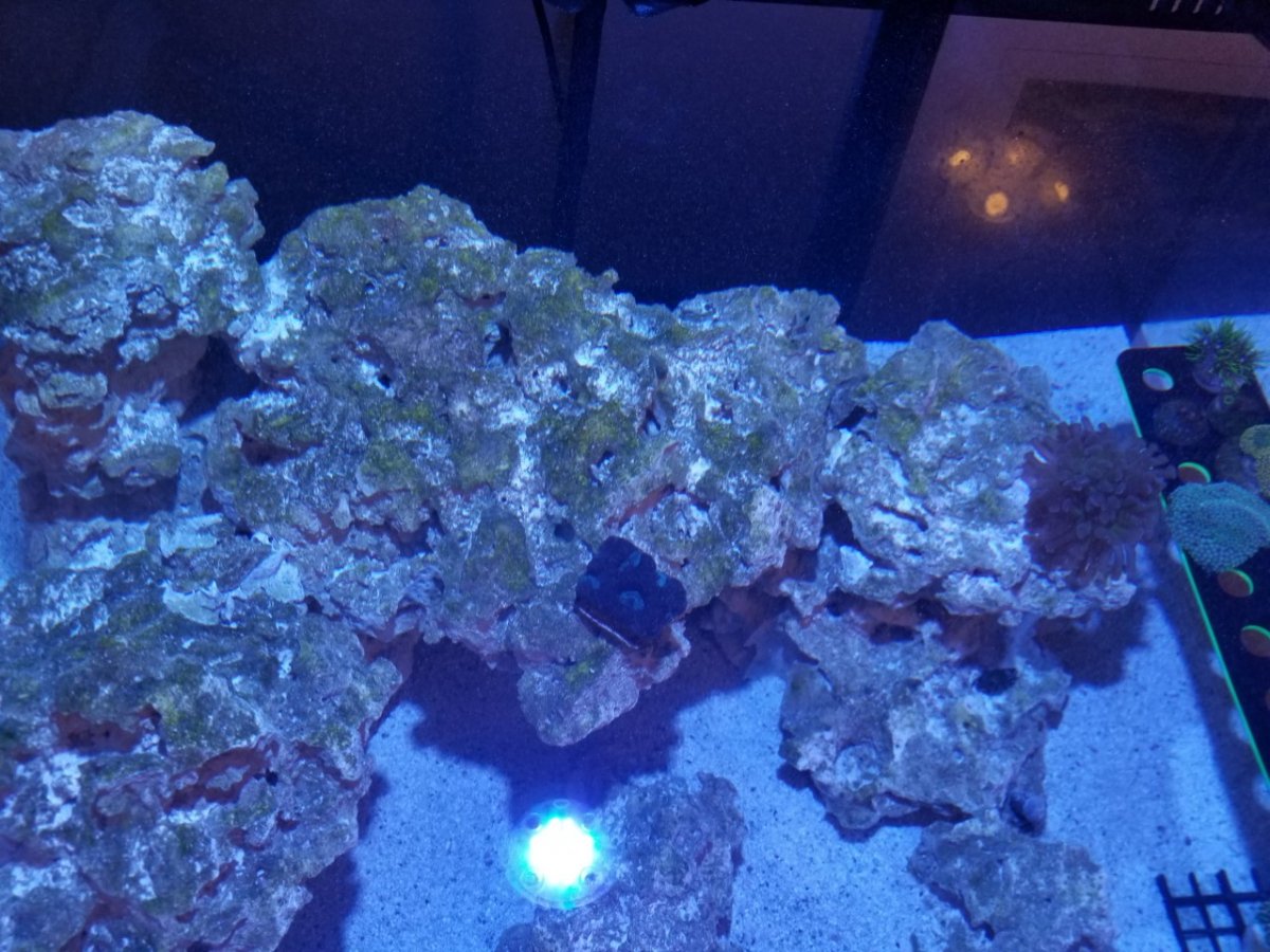 tank2.jpg
