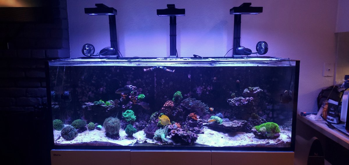 Tank2.jpg