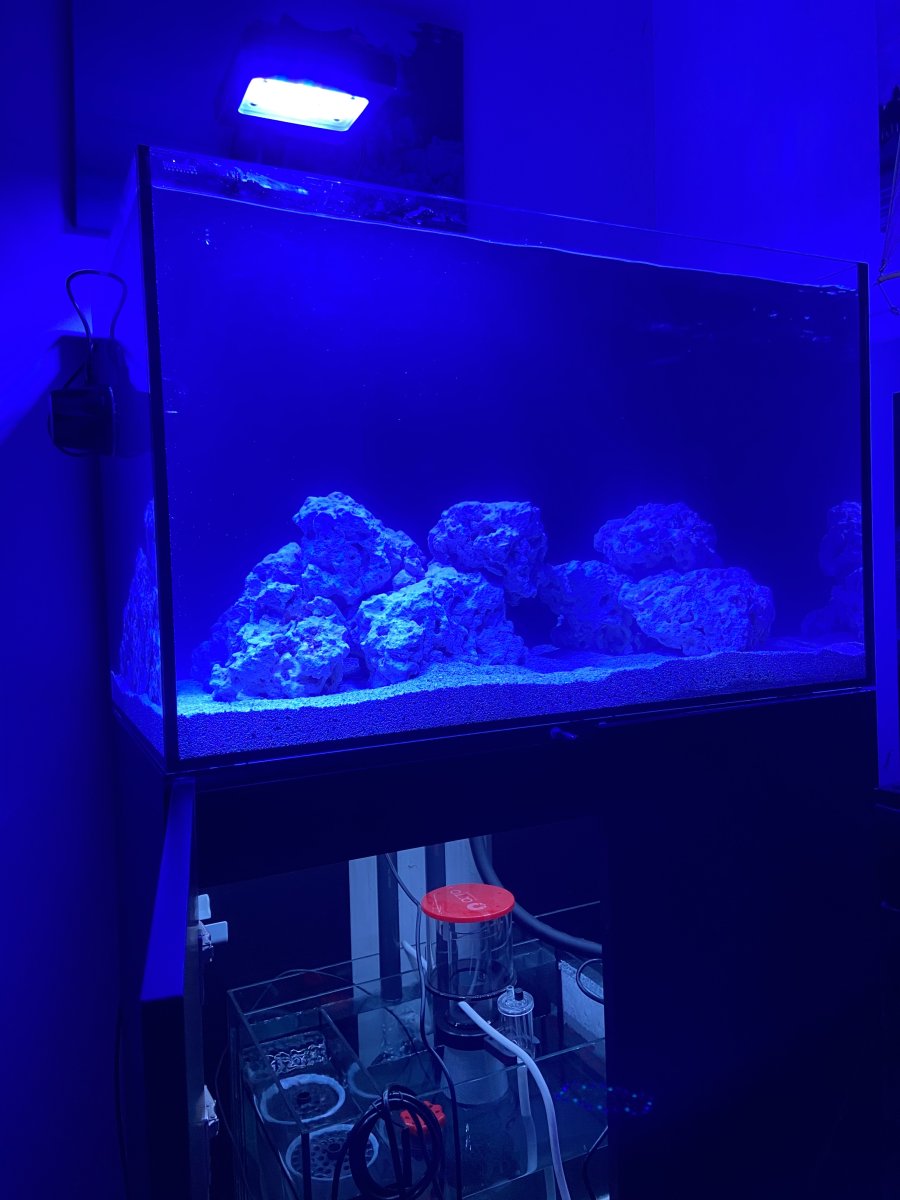 tank2.jpg