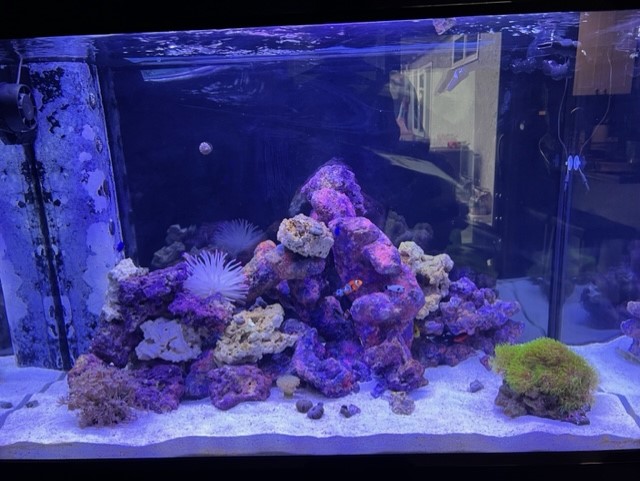 tank2.jpg