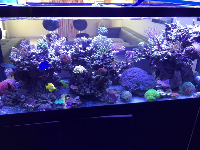 tank2.JPG