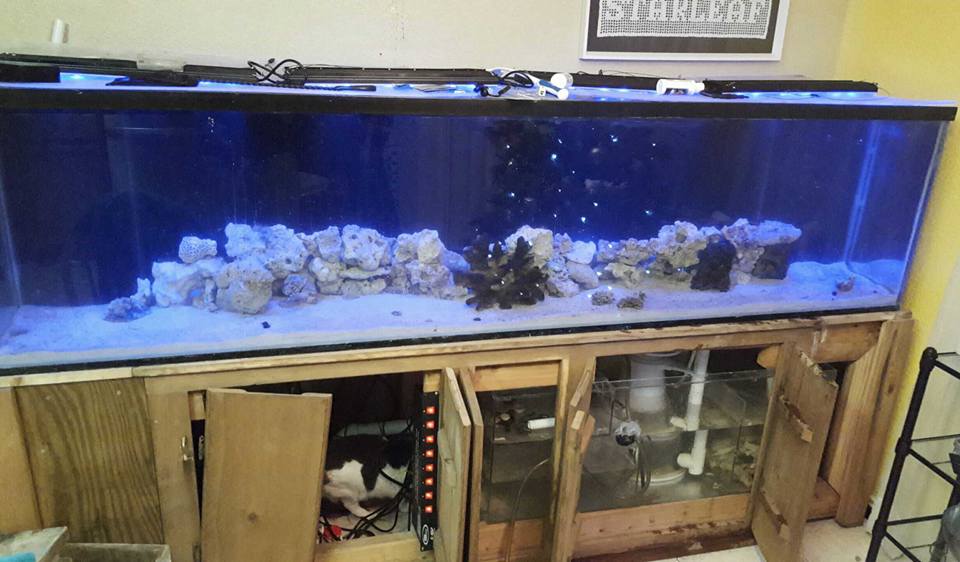 tank2.jpg