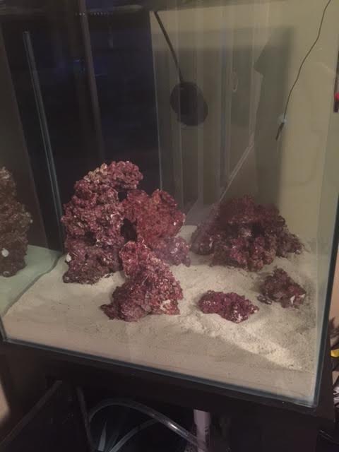 tank2.jpg