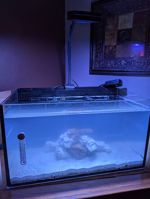 tank2.jpg