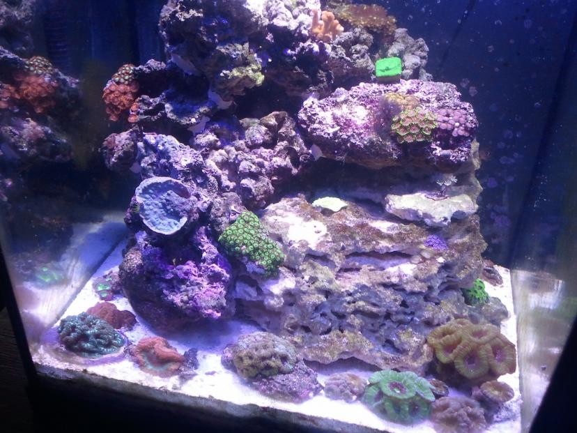 tank2.jpg