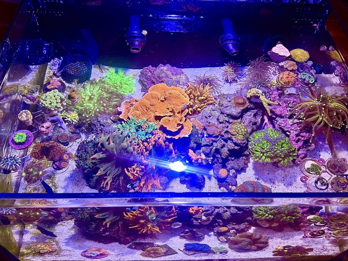tank2.jpg