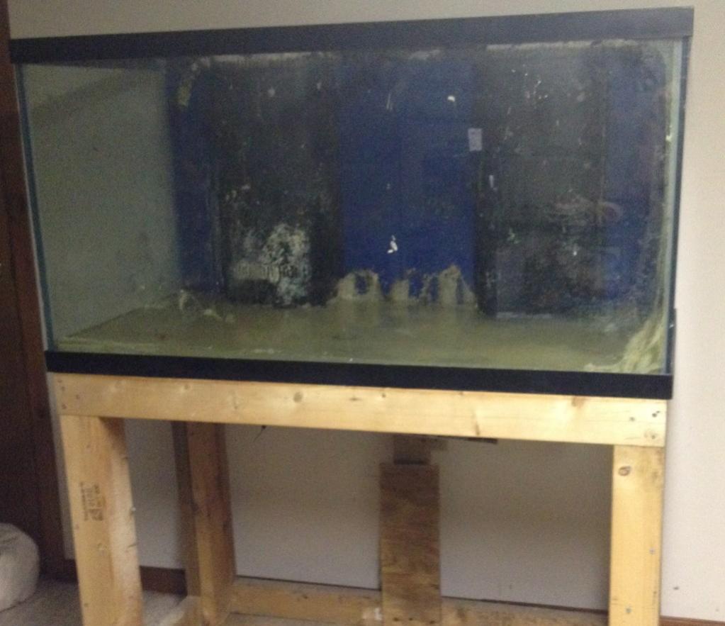 tank2.jpg