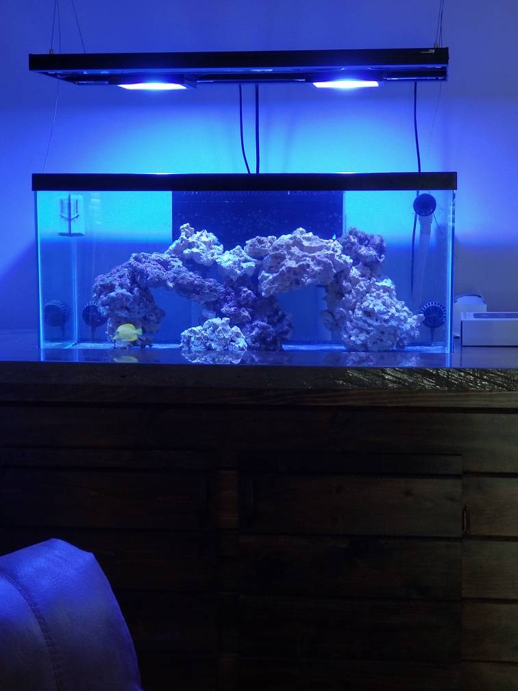 tank2.jpg