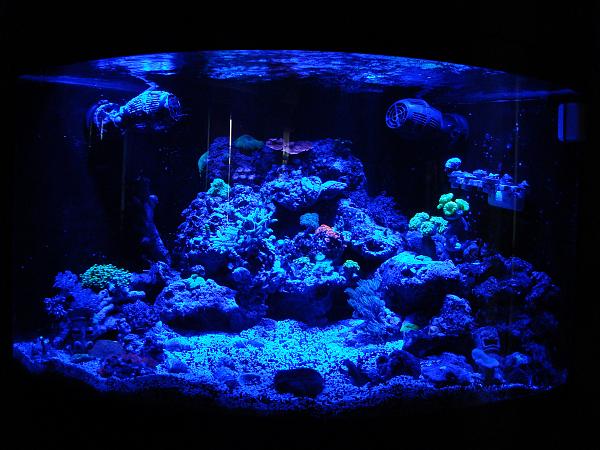 tank2.jpg