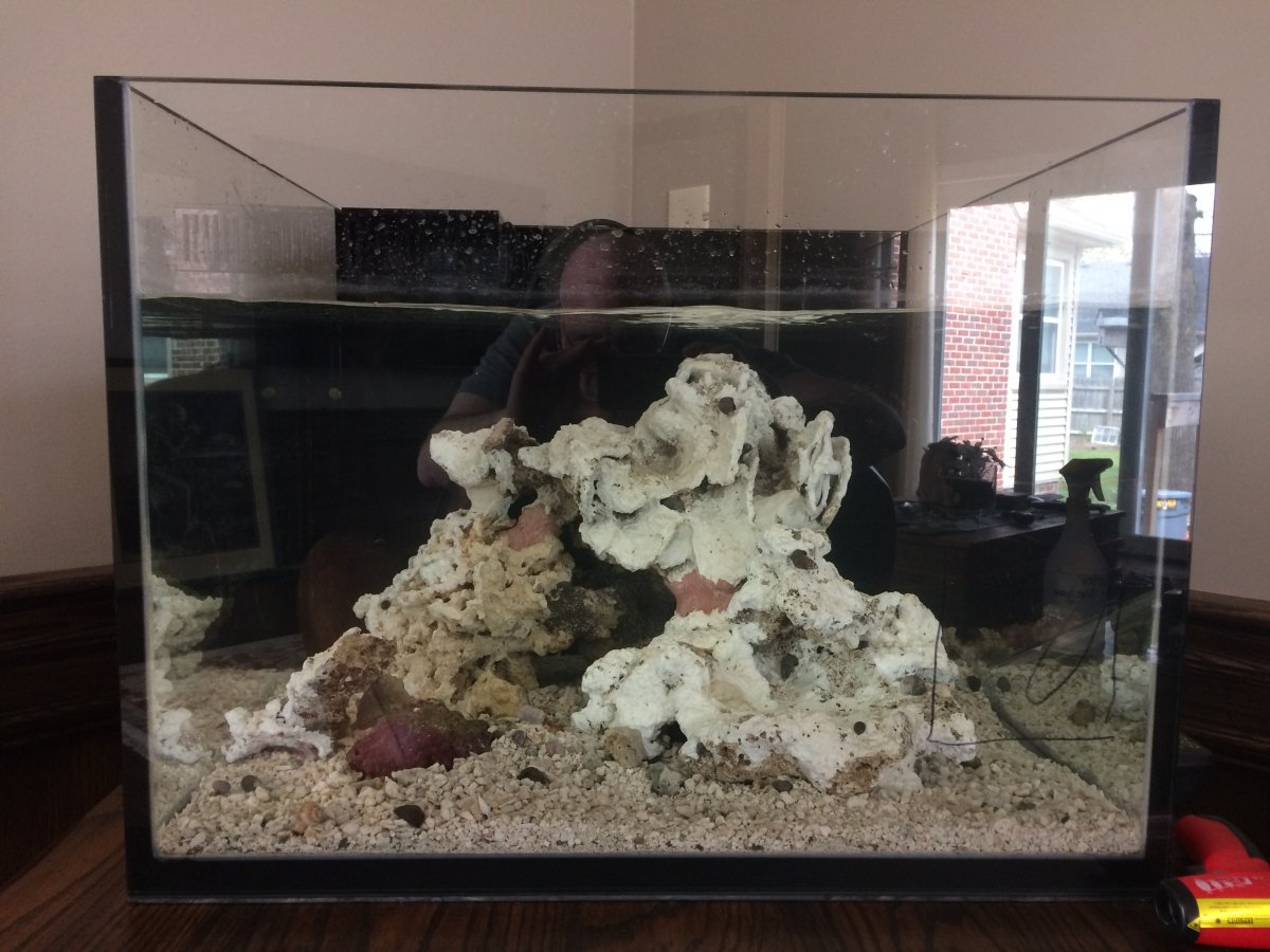 tank3.jpeg