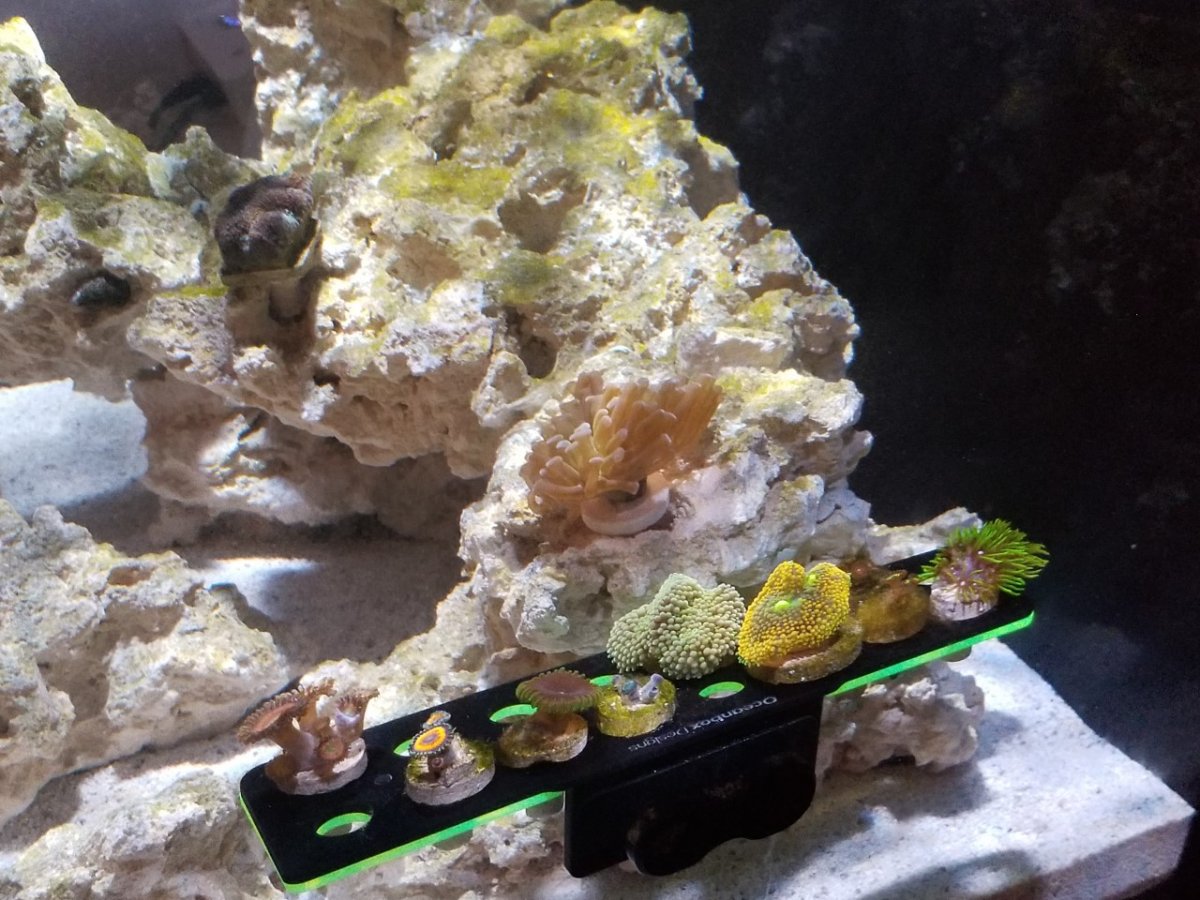 tank3.jpg