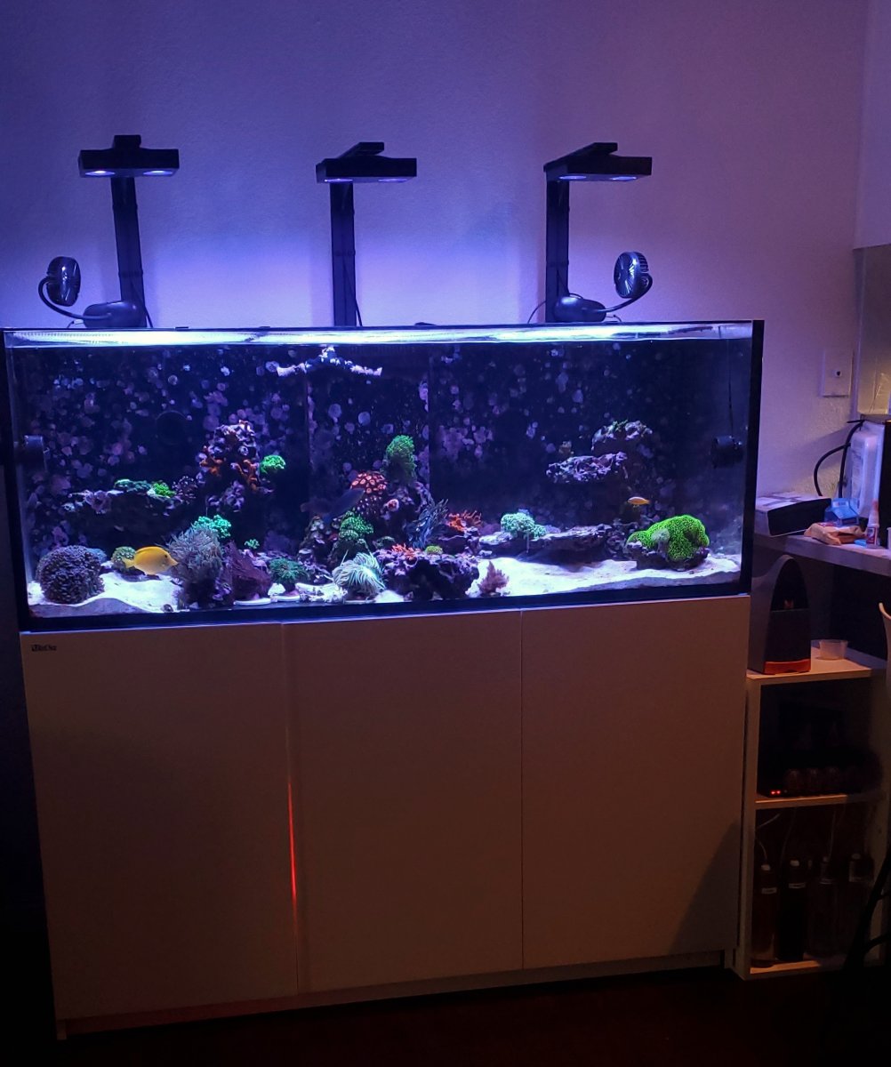 Tank3.jpg