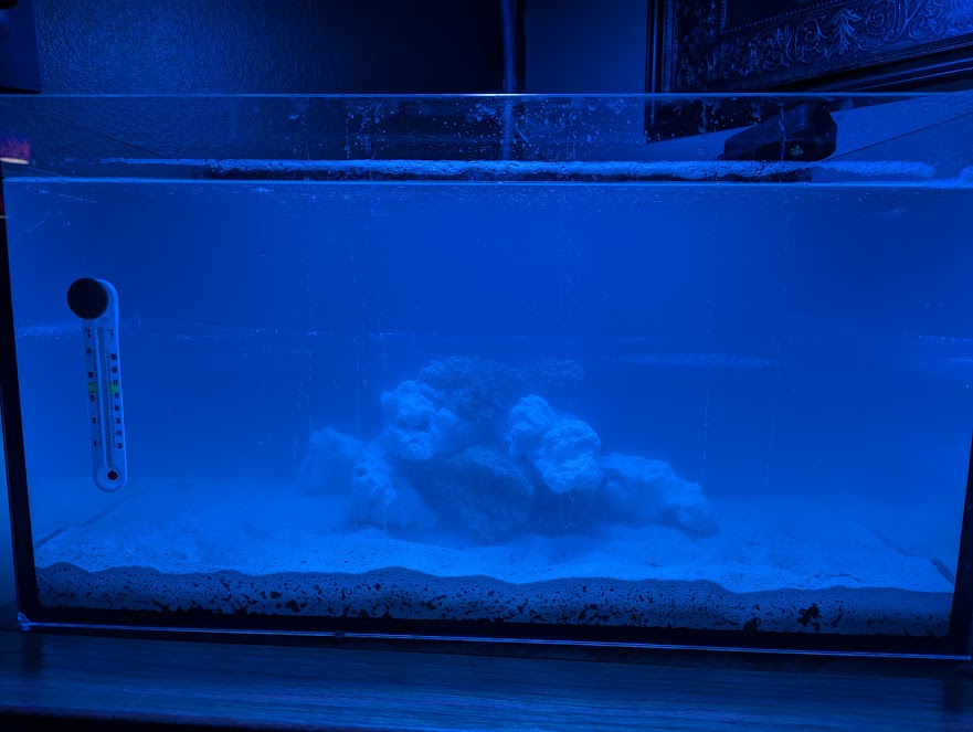 tank3.jpg