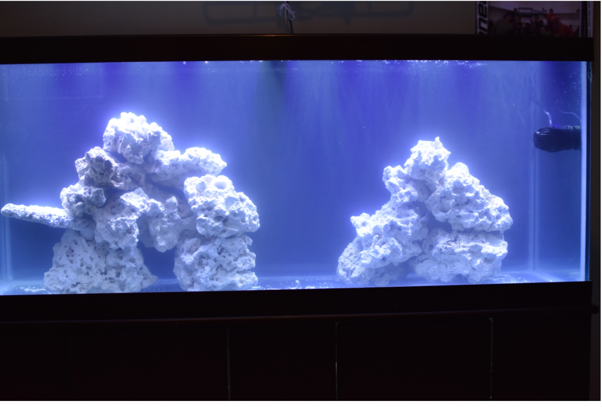 tank3.PNG