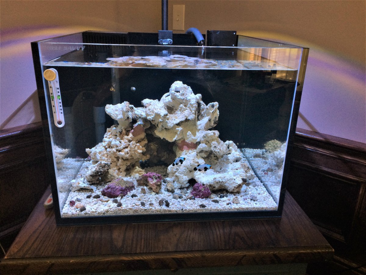 tank4 (2).jpeg