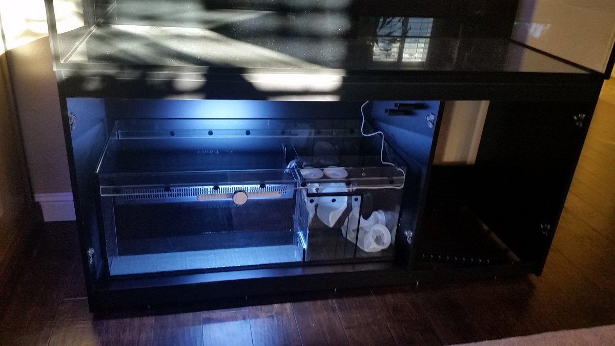 tank7.jpg