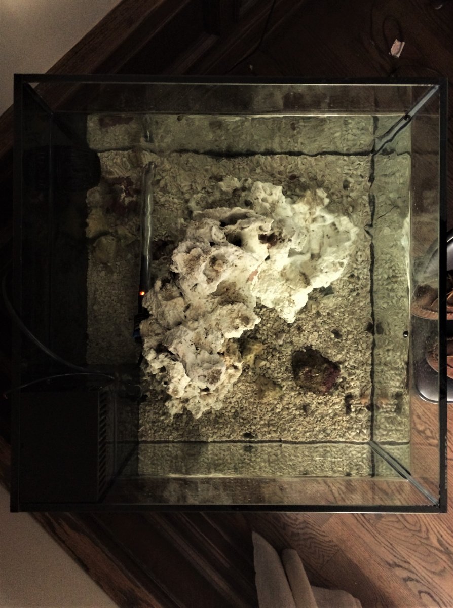 tank8 (2).jpeg