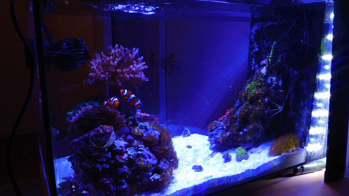 tank8.jpg