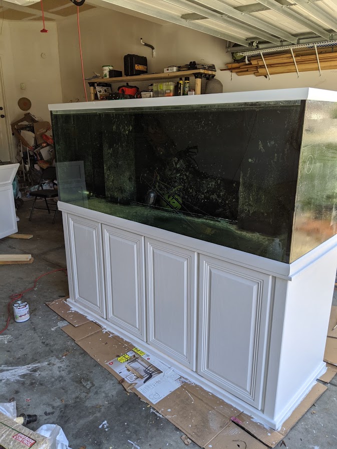 tank_painted.jpg