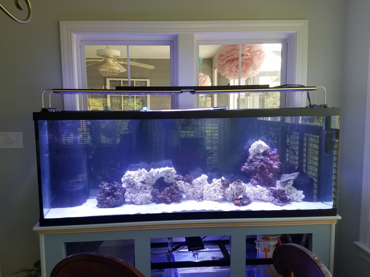 Tank_Rocks_2.jpg