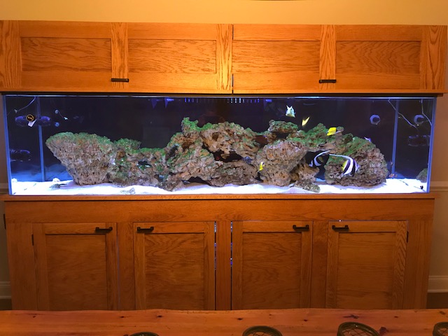 tankdec27-jpg.928434