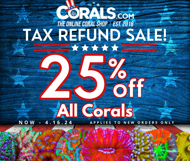 Tax Refund Sale 24'(1).png