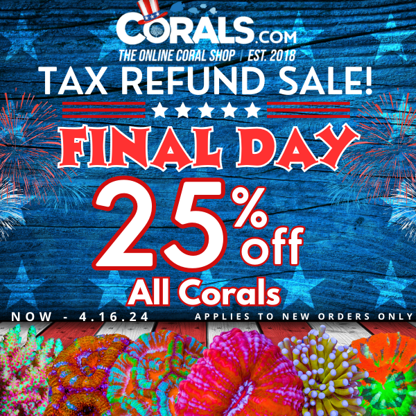 Tax Refund Sale 24'.png