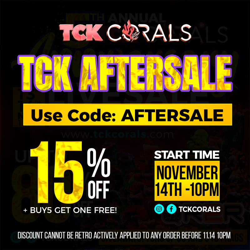 TCK ANNIVERSARY SALE 2021 AFTERSALE EMAIL 800 X 800.png