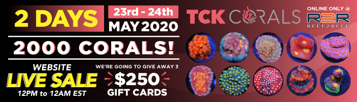 TCK-Corals-_700x200_-Reef2Reef-Homepage-Banner.jpg