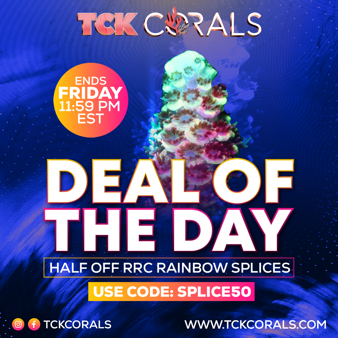 TCK DEAL OF THE DAY Social Media Post Square 1080 x 1080.png